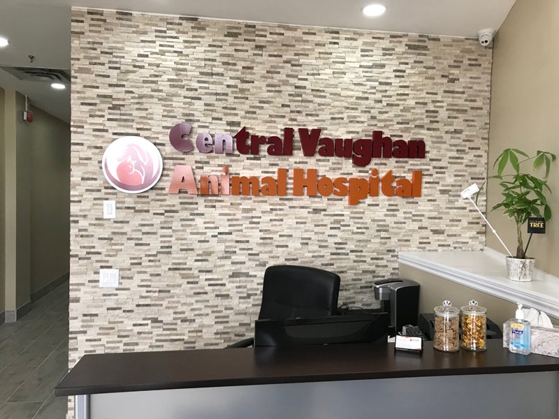The front reception area of Central Vaughan Animal Hospital